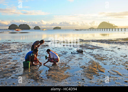 La gente del luogo la raccolta di conchiglie e granchi sulla spiaggia in Britania gruppo di isole, Surigao del Sur, Filippine. Foto Stock