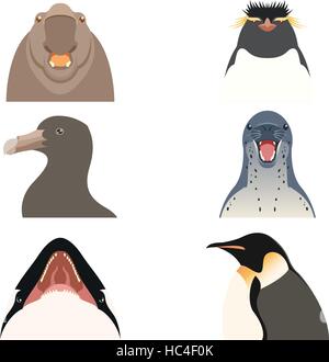 Set di flat antartico le icone degli animali Illustrazione Vettoriale