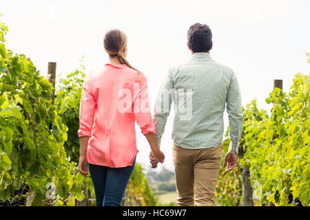 Giovane passeggiate attraverso vigneti Foto Stock