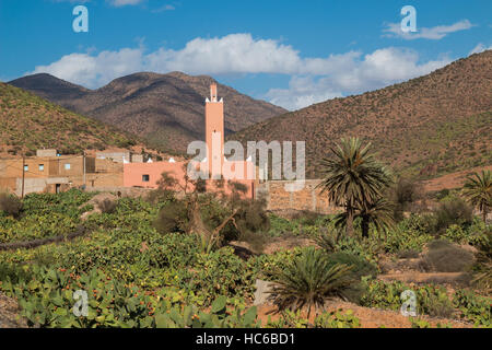 Piccolo villaggio con una moschea nella valle dei monti dell'Atlante, in un oasi di palme e molte piante di cactus. Blu cielo con alcune nuvole. Foto Stock