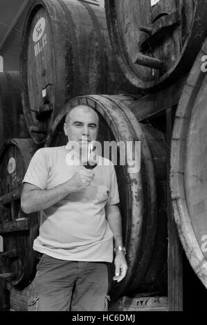 Uomo con un bicchiere di Vernaccia vigna, cantina Contini, Cabras, Sinis, Sardegna, Italia Foto Stock