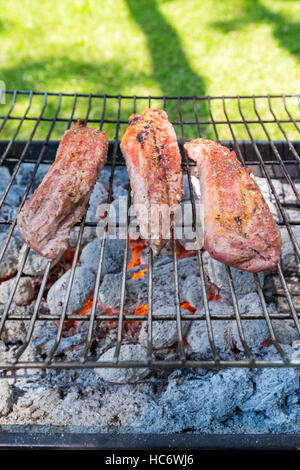 Braai barbecue di carne porta i filetti di carbone di fiamma Foto Stock