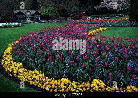 Stanley Park, Vancouver, BC, British Columbia, Canada - Fiori in fiore nel giardino fiorito, molla Foto Stock