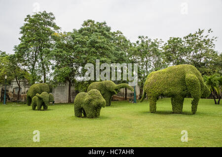 Bang Pa-In Royal Gardens, Elefanti Foto Stock