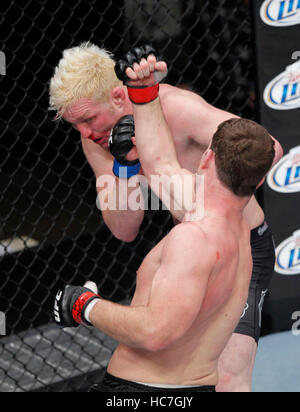 Michael Bisping, destra, combatte Jason Miller all'Ultimate Fighter 14 Finale al Palms di Las Vegas, Nevada, sabato 3 dicembre, 2011. Foto di Francesco Specker Foto Stock