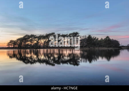 Hatchet Pond, New Forest National Park, Beaulieu, Hampshire, Inghilterra, Regno Unito Foto Stock