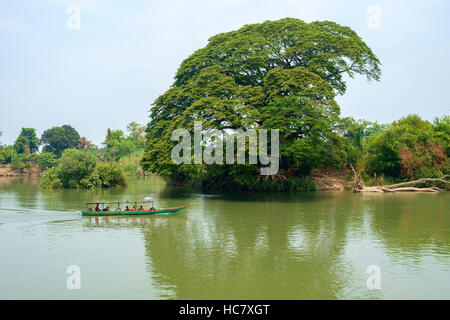 Una barca dalla lunga coda e un grande albero su uno degli isolotti sul fiume Mekong, vicino alla punta settentrionale di Don Det island, 4000 isole (Si Phan Don), Laos. Foto Stock