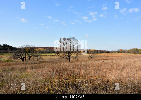 Università di Wisconsin - Whitewater Nature Preserve e area ricreativa di Whitewater, Wisconsin Foto Stock