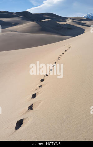 La Contea di Saguache, Colorado: impronte lungo alta duna a grandi dune di sabbia del Parco Nazionale e preservare. Foto Stock
