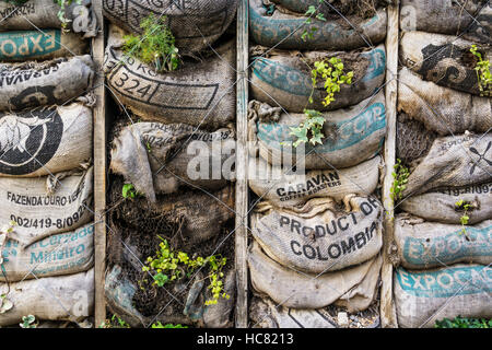 Earthbag Cool Store da Alessandro Conning-Rowland a saltare giardino, King's Cross. Vedere i dettagli nella descrizione. Foto Stock