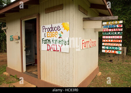 Strada stand con vendita di Hawaiian produrre Foto Stock