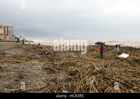 Fuengirola, Malaga, Spagna. 4 dicembre 2016. Spiaggia piena di detriti. La più pesante pioggia negli ultimi 25 anni Foto Stock