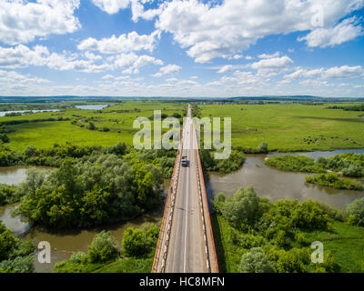 Vacca, road, verde nei pressi del confine di Tatar e Bashkir membro Foto Stock