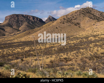 Prealpi Trail, Kartchner Caverns State Park, Benson, Arizona. Foto Stock