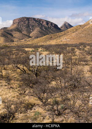 Prealpi Trail, Kartchner Caverns State Park, Benson, Arizona. Foto Stock