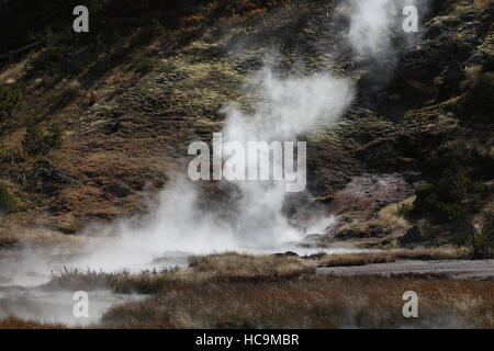 Artista Paint Pots area geotermale, il Parco Nazionale di Yellowstone, WY Foto Stock