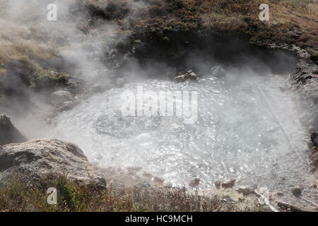 Artista Paint Pots area geotermale, il Parco Nazionale di Yellowstone, WY Foto Stock