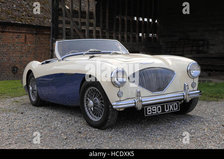 1955 Austin Healey 100/4 classic auto sportiva Foto Stock