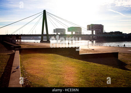 Germania, Colonia, vista dal quartiere Deutz al Severins bridge e il porto Rheinauhafen con la gru Case da Hadi Teherani. Foto Stock