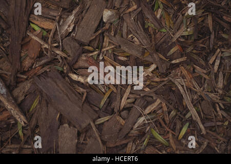 Trucioli di legno sul terreno Foto Stock