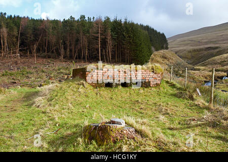 Vecchio WW2 Bunker alla base del Pen y ventola, Brecon Beacons, South Wales, Regno Unito Foto Stock