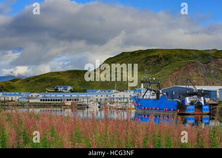 Barca da pesca, Harbor olandese, amaknak Island, isole Aleutian, Alaska, STATI UNITI D'AMERICA Foto Stock