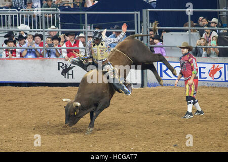 Bull rider Houston Rodeo 2016. Foto Stock