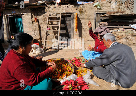 Kathmandu, Nepal. 08 Dic, 2016. Devoti nepalese fare ghirlande di fiori per decorazione di carro durante la celebrazione di Bishnudevi Jatra/festival celebrato Panga, Kirtipur, Kathmandu, Nepal sul Giovedi, Dicembre 08, 2016. È la parte del famoso "Saat Gaule Jatra" celebra ogni anno segnando l'arrivo dell'inverno. Jatras e manifestazioni sono parte della vita di comunità Newar. Credito: Narayan Maharjan/Pacific Press/Alamy Live News Foto Stock