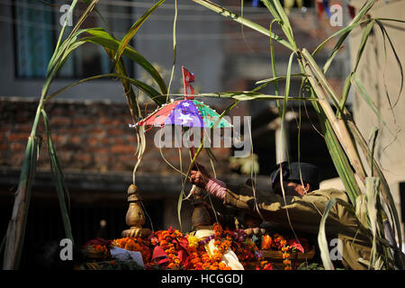 Kathmandu, Nepal. 08 Dic, 2016. Devoti nepalese decorare carro durante la celebrazione di Bishnudevi Jatra/festival celebrato a Panga Kirtipur, Kathmandu, Nepal sul Giovedi, Dicembre 08, 2016. È la parte del famoso "Saat Gaule Jatra" celebra ogni anno segnando l'arrivo dell'inverno. Jatras e manifestazioni sono parte della vita di comunità Newar. Credito: Narayan Maharjan/Pacific Press/Alamy Live News Foto Stock