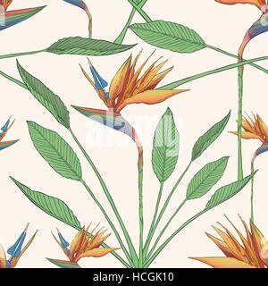 Gli uccelli del paradiso fiori seamless sfondo pattern Illustrazione Vettoriale