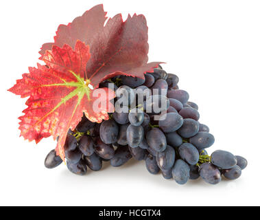 Uve viola isolato su uno sfondo bianco. Foto Stock