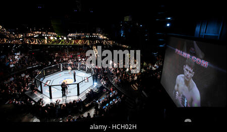 Michael Bisping combatte Jason Miller all'Ultimate Fighter 14 Finale al Palms di Las Vegas, Nevada, sabato 3 dicembre, 2011. Foto di Francesco Specker Foto Stock