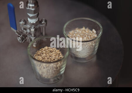 Bicchieri di orzo sul mosto di birra per fare la birra Foto Stock