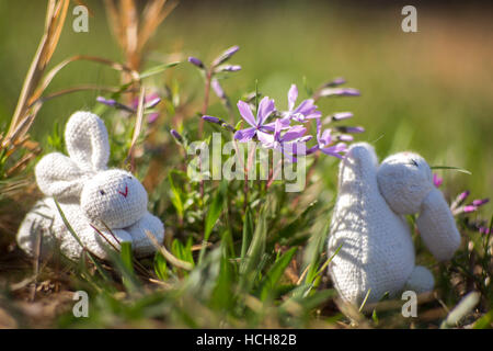 Due ripieni di coniglio bianco giocattoli in erba, uno è il raggiungimento di un piccolo cluster di fiori viola. Foto Stock