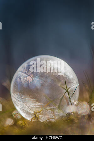Icy bolla di sapone incandescente nella luce brillante con modelli di ghiaccio su un prato e massa di muschio con bokeh di fondo e uno sfondo blu Foto Stock