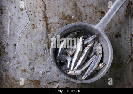 Molte delle materie di alici fresche pesci sul ghiaccio tritato in vintage scolapasta sopra il vecchio metallo scuro dello sfondo. Vista dall'alto. Frutti di mare tema sfondo. Foto Stock