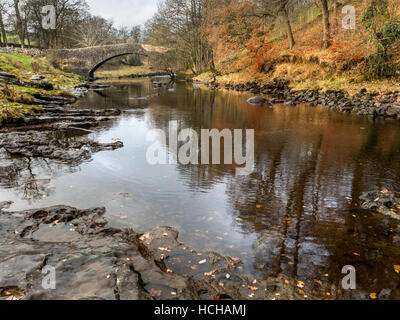 Stainforth Packhorse ponte sopra il fiume Ribble nel tardo autunno Stainforth Ribblesdale Yorkshire Dales Inghilterra Foto Stock