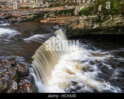 Stainforth forza o Stainforth Foss sul fiume Ribble in autunno Stainforth Ribblesdale Yorkshire Dales Inghilterra Foto Stock