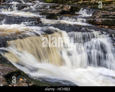 Stainforth forza o Stainforth Foss sul fiume Ribble Stainforth Ribblesdale Yorkshire Dales Inghilterra Foto Stock