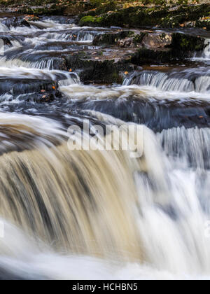 Stainforth forza o Stainforth Foss sul fiume Ribble Stainforth Ribblesdale Yorkshire Dales Inghilterra Foto Stock