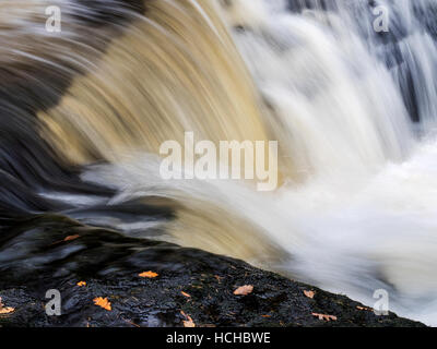 Stainforth forza o Stainforth Foss sul fiume Ribble in autunno Stainforth Ribblesdale Yorkshire Dales Inghilterra Foto Stock