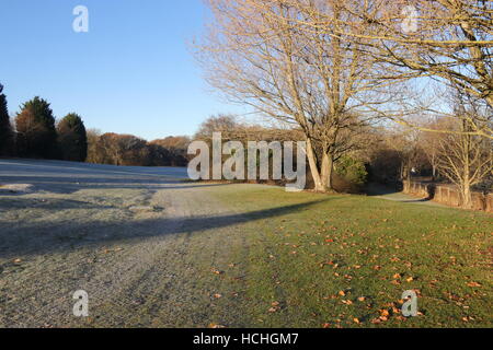 La brina sul fairway e green Foto Stock