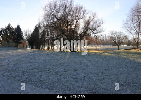 La brina sul fairway e green Foto Stock