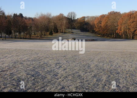 La brina sul fairway e green Foto Stock