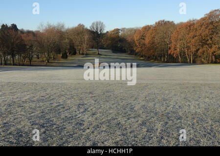 La brina sul fairway e green Foto Stock