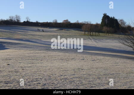 La brina sul fairway e green Foto Stock