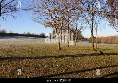 La brina sul fairway e green Foto Stock