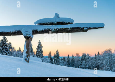 Parco giochi degli dèi, Giapponese Ainu totem, Burnaby Mountain Park, Burnaby, British Columbia, Canada. Foto Stock