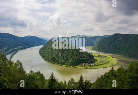 Fiume Danubio. Austria. Foto Stock