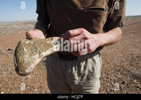 Robert Anderson, professore di geomorfologia dell'università del Colorado, sottolinea il fine cappotto di carbonato di calcio che può formarsi sul fondo delle rocce in ambienti aridi come i calanchi dello Utah. L'acqua percolata in superficie attraverso la matrice del suolo arriva Foto Stock